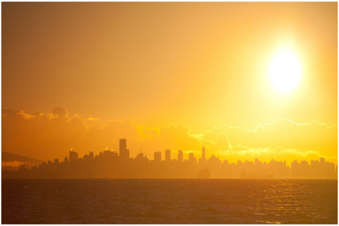 Beating the Heat: How to Prepare for Intensifying Heatwaves According to the UN