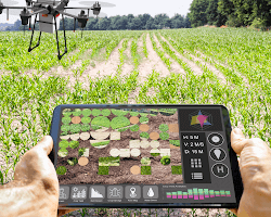 Precision agriculture in agriculture