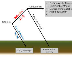 Carbon capture and utilization (CCU)