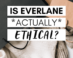 Everlane sustainable fashion brand