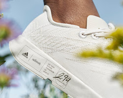 Allbirds sustainable fashion brand