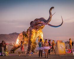 Burning Man, USA