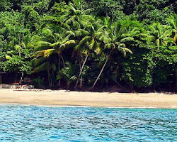 Caño Island Biological Reserve, Costa Rica