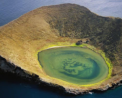 Isabela Island, Galápagos
