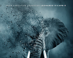Ivory Game (2016) documentary poster