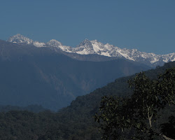 Namdapha National Park, Arunachal Pradesh