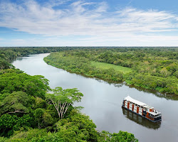 Peruvian Amazon rainforest