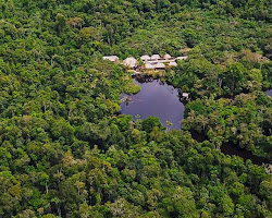 Survivalist expedition in the Amazon rainforest