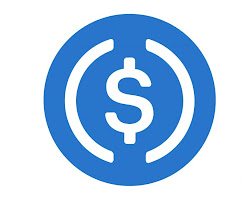 USD Coin (USDC) cryptocurrency logo