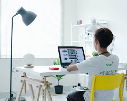 person studying, focused on their work